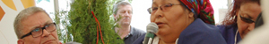 page 3 banner