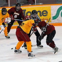 Women's hockey at the Saskatchewan Winter Games