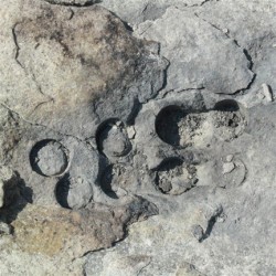 Drill marks located on the top of Glenwood Erratic