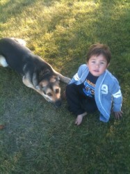 Devoted and loyal dog Duke kept Jet Ayoungman company when the little boy was lo