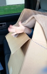 Boy in box - RCMP
