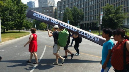 Support for Grassy Narrows in Toronto on July 7