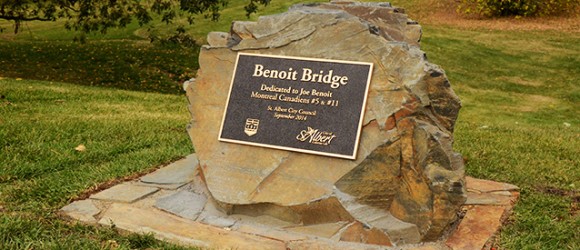 Enter an image description for search engine rankings