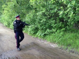 BEar sighting in Edmonton River Valley