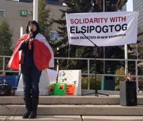 Edmonton gathering in support of Elsipogtog