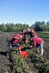 Thirty-six First Nation, Métis and Inuit youth participated in NorQuest program