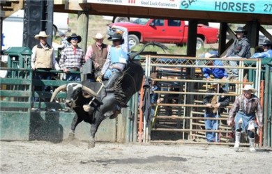 Will Bruised Head of Standoff, Alta. takes his chances at the Richest Indain Rod