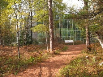 The glass house that protects the rock carvings at Petroglyph Provincial Park wa