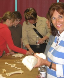Visitors looking at the bison bone reference collection in the lab at the Bodo A