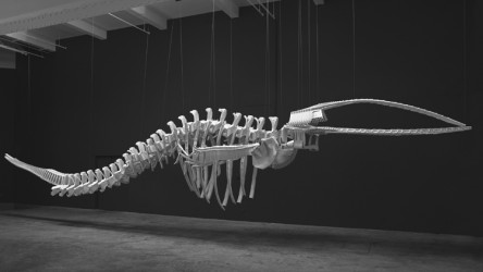 Brian Jungen’s Cetology, 2002