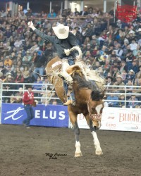 Kale McKenzie at Canadian Finals Rodeo